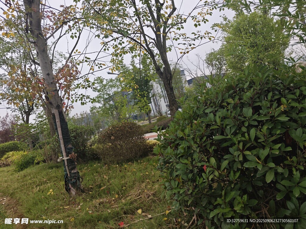 户外绿植景观