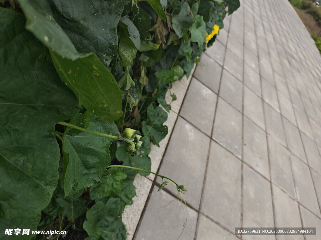 路边绿植与灰色地砖景观
