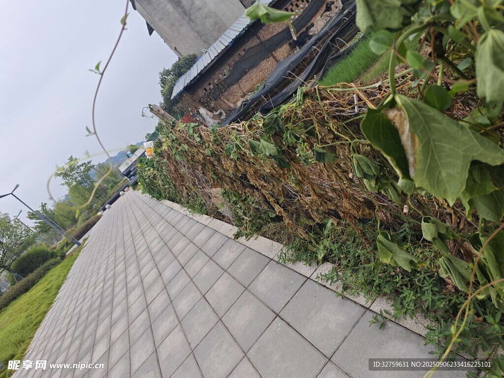 户外砖砌小径旁绿植景观