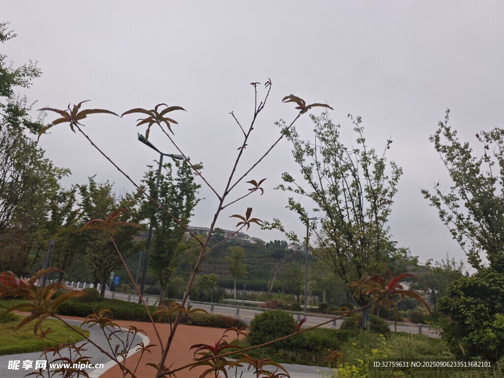 雨中园林景致
