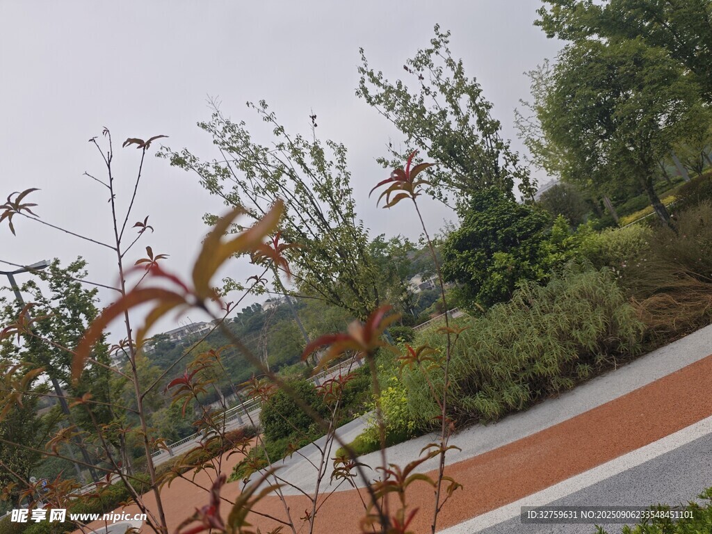 户外绿植景观一角