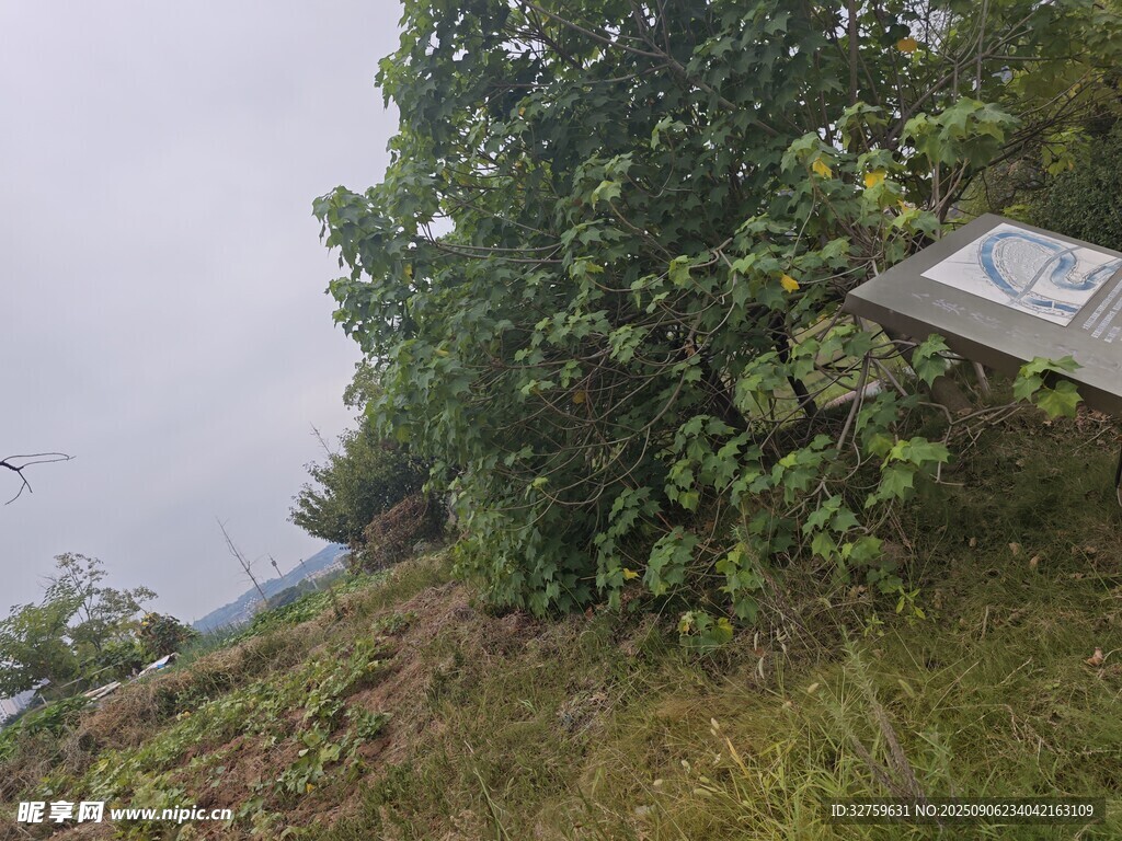 山坡上的绿植与金属物件