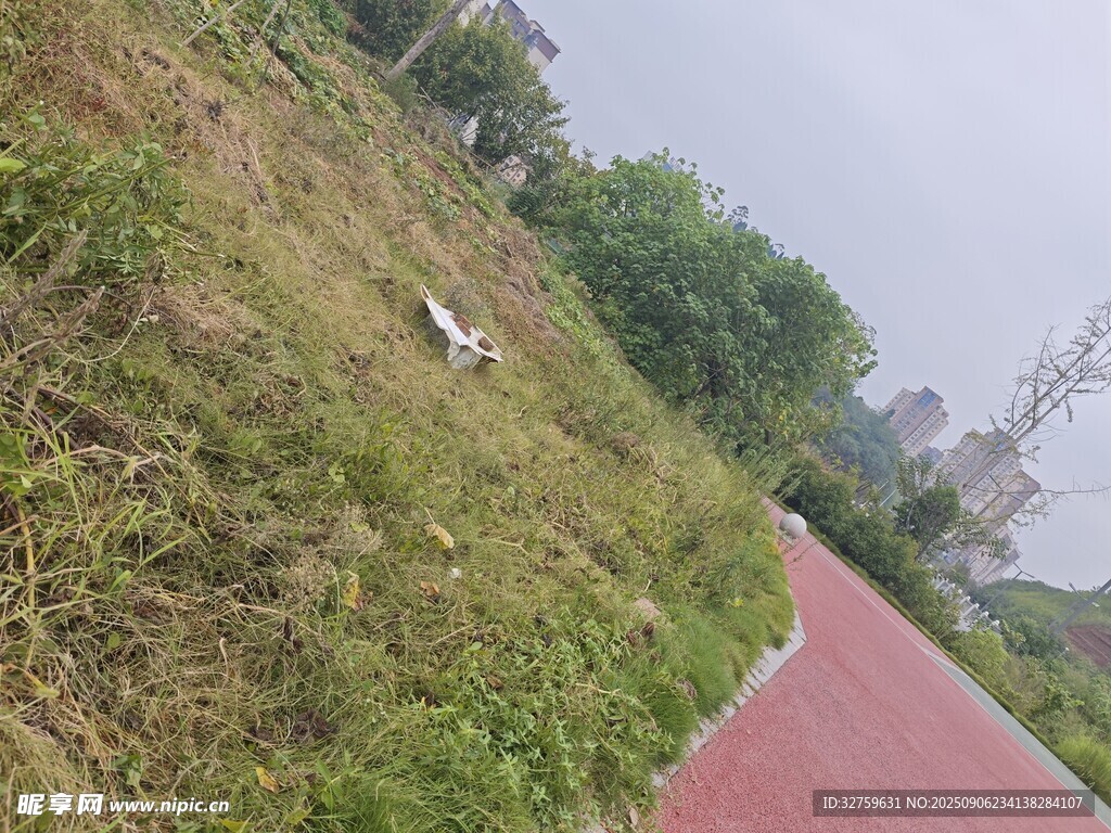 路边草地与红色步道景观