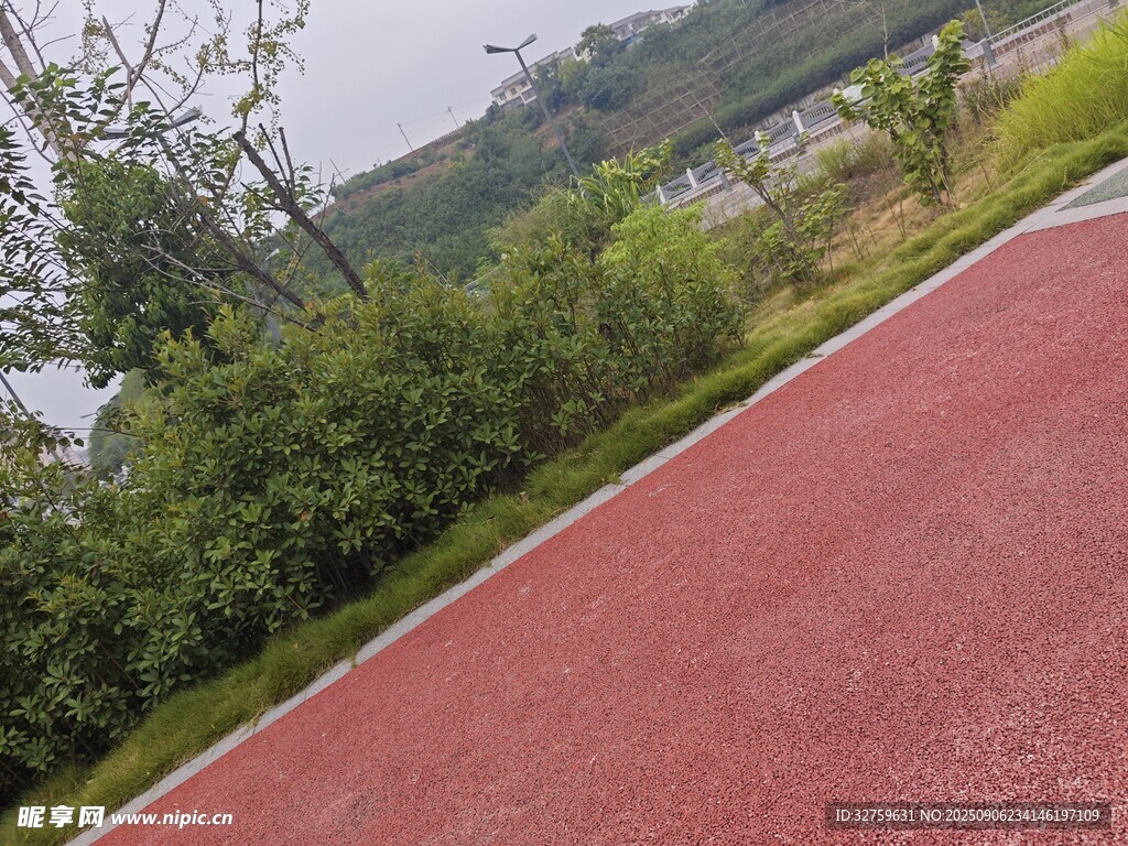 红色步道旁的葱郁绿植