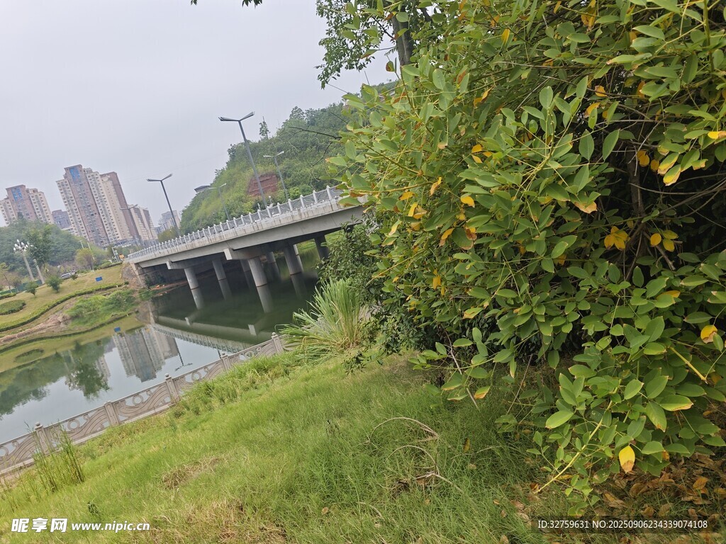 河畔绿植间的城市桥梁景观