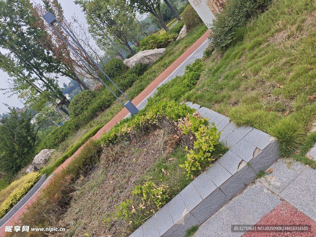 城市绿化带景观一角