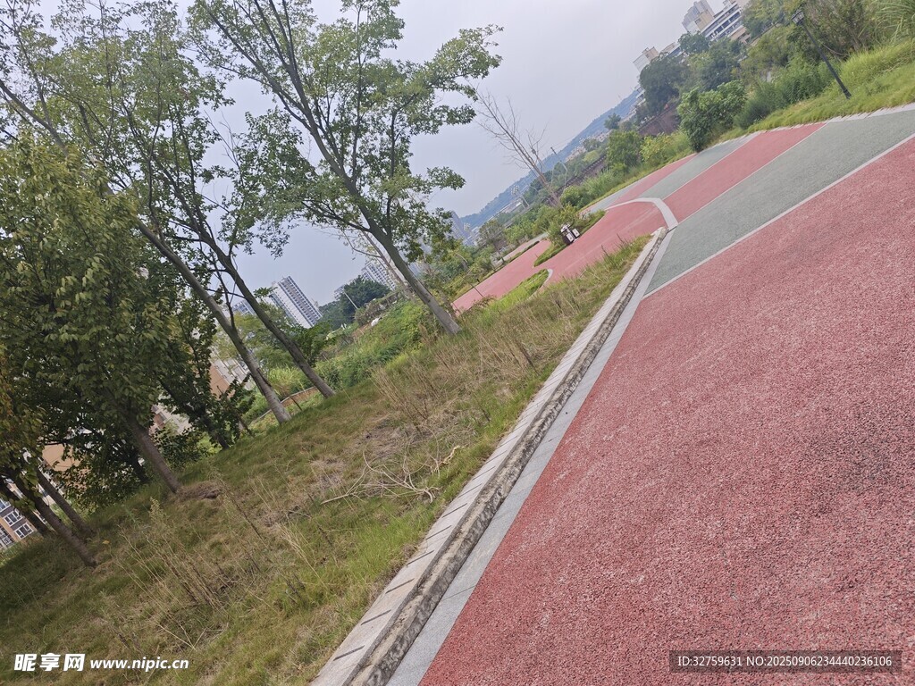 彩色骑行道旁的绿植风景