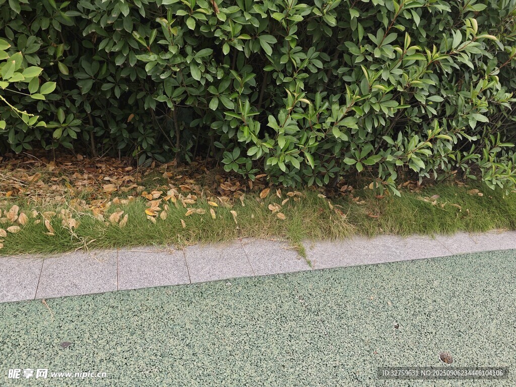路边绿植与彩色地面景观
