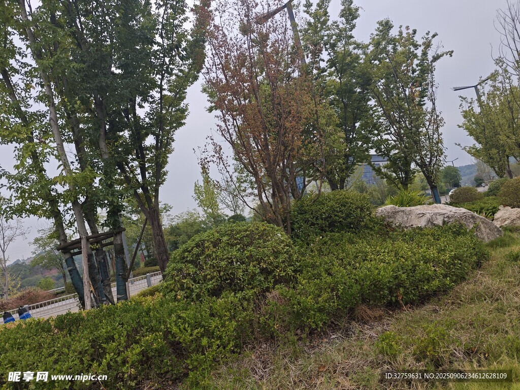 户外绿意盎然的自然景致