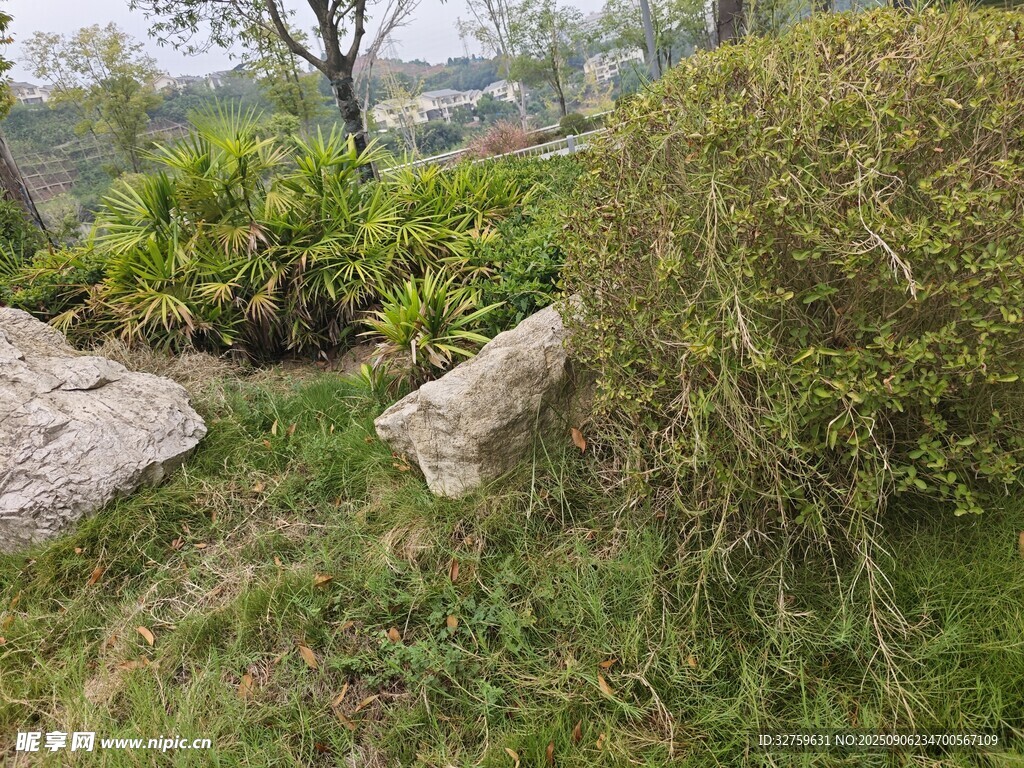 户外草地与岩石绿植景观