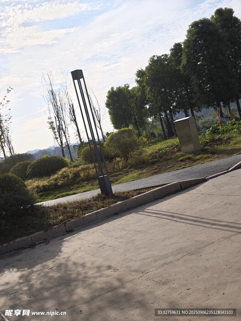 路边绿植景观