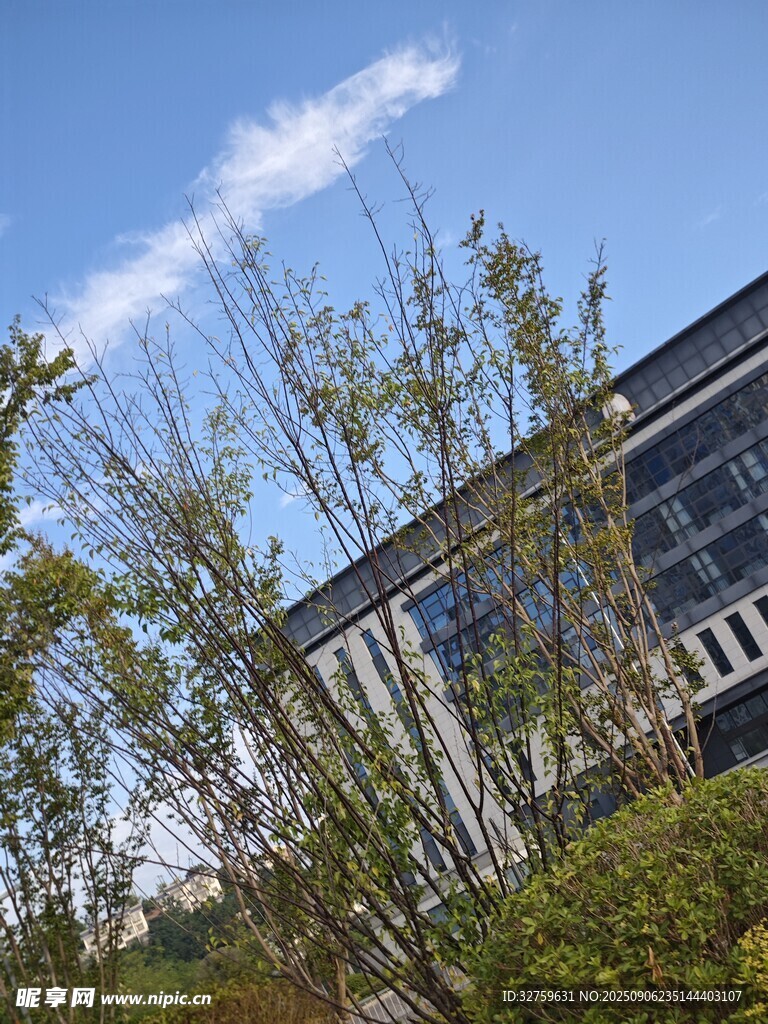 蓝天绿树旁的现代建筑