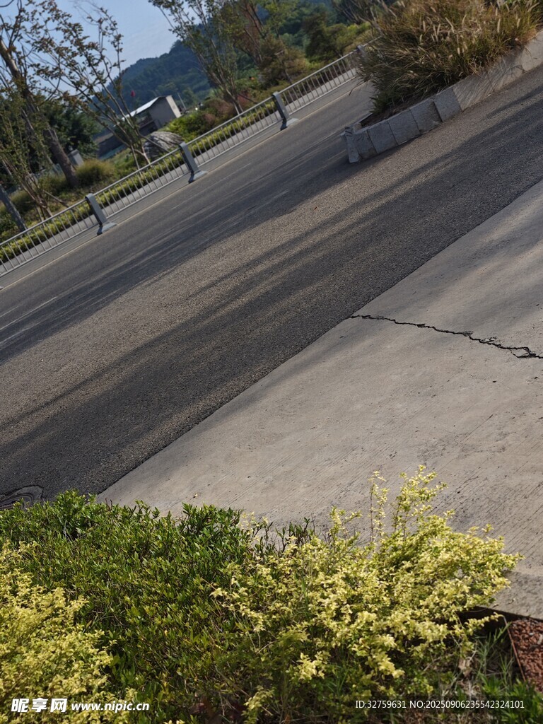 路边绿植与道路景观