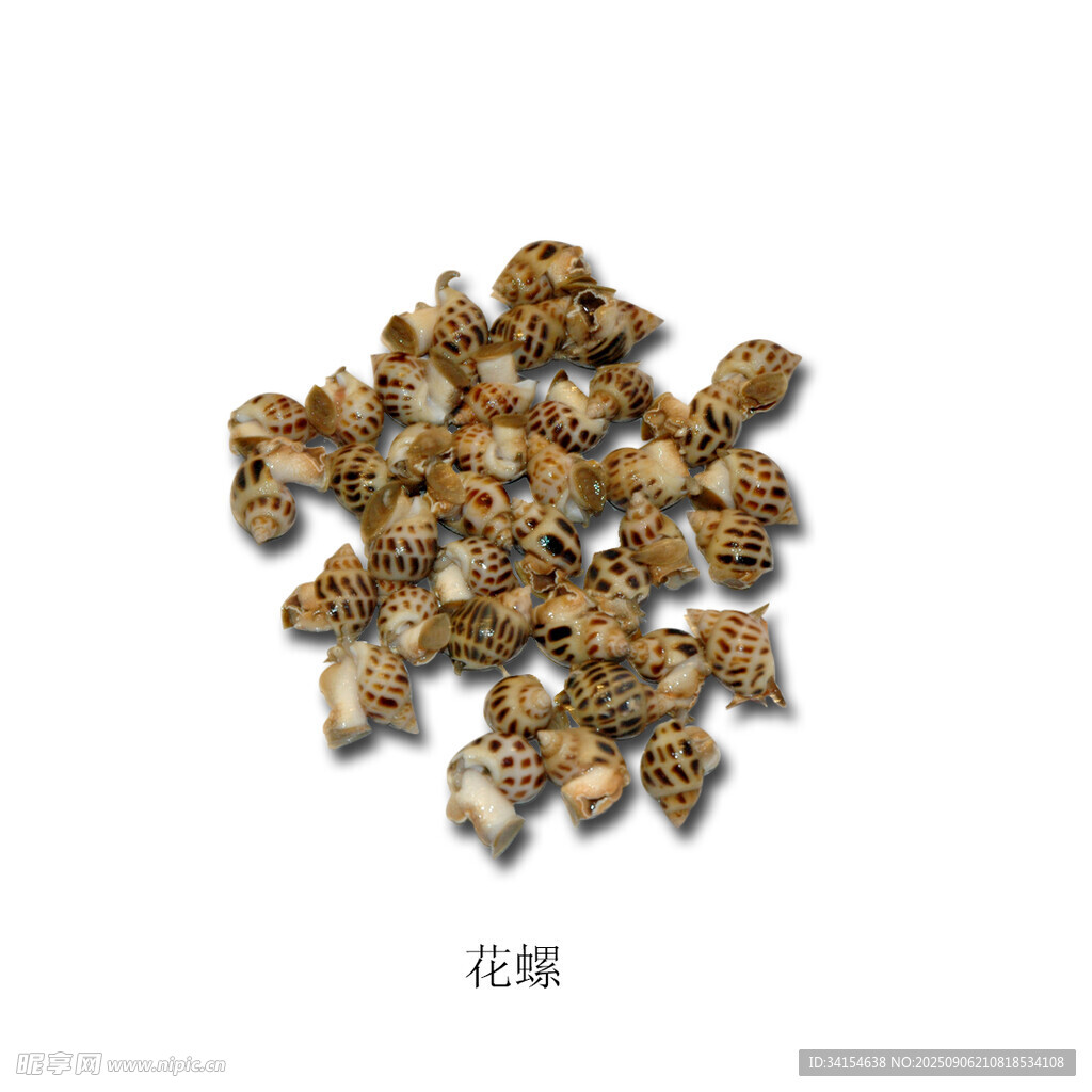 花螺