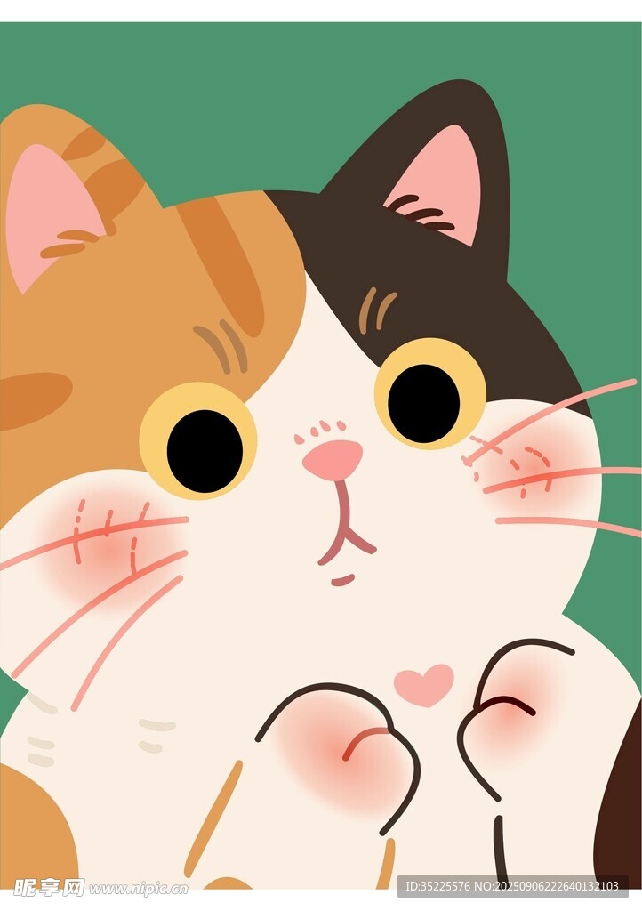 可爱三色猫咪萌态展示