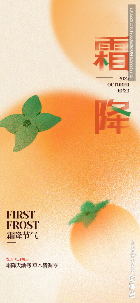 霜降时节的清新柑橘画面