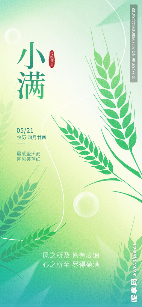 清新小满节气插画背景图