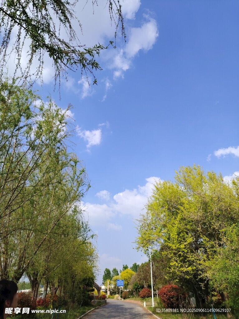 索河蝴蝶谷春日林荫道美景