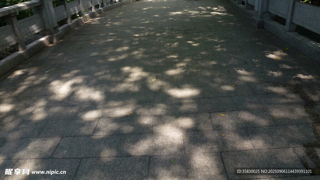 阳光洒落的石板小路