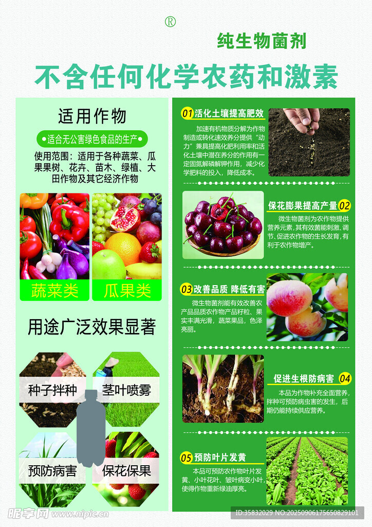 有机果蔬无农药宣传页