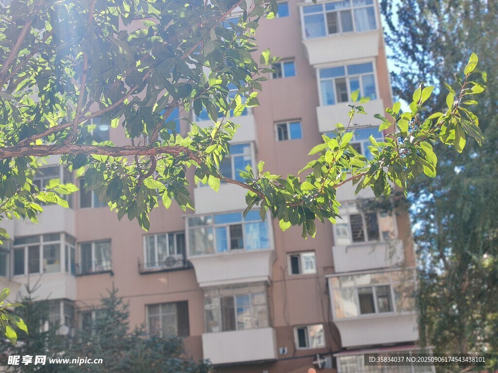 阳光下的多层居民住宅楼