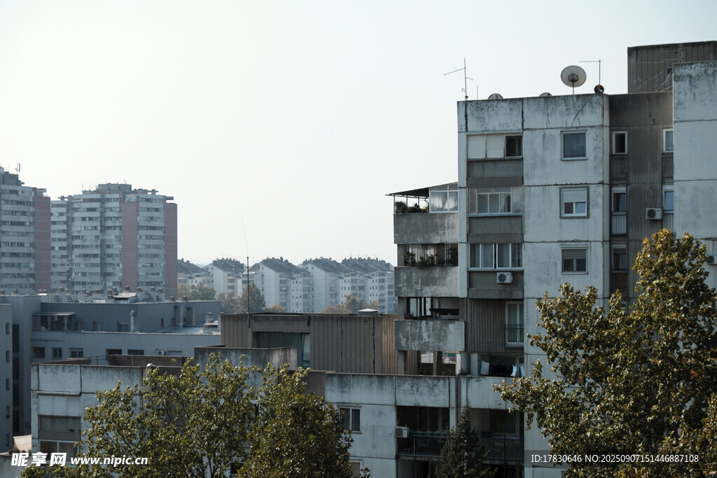 城市中的居民楼与绿树