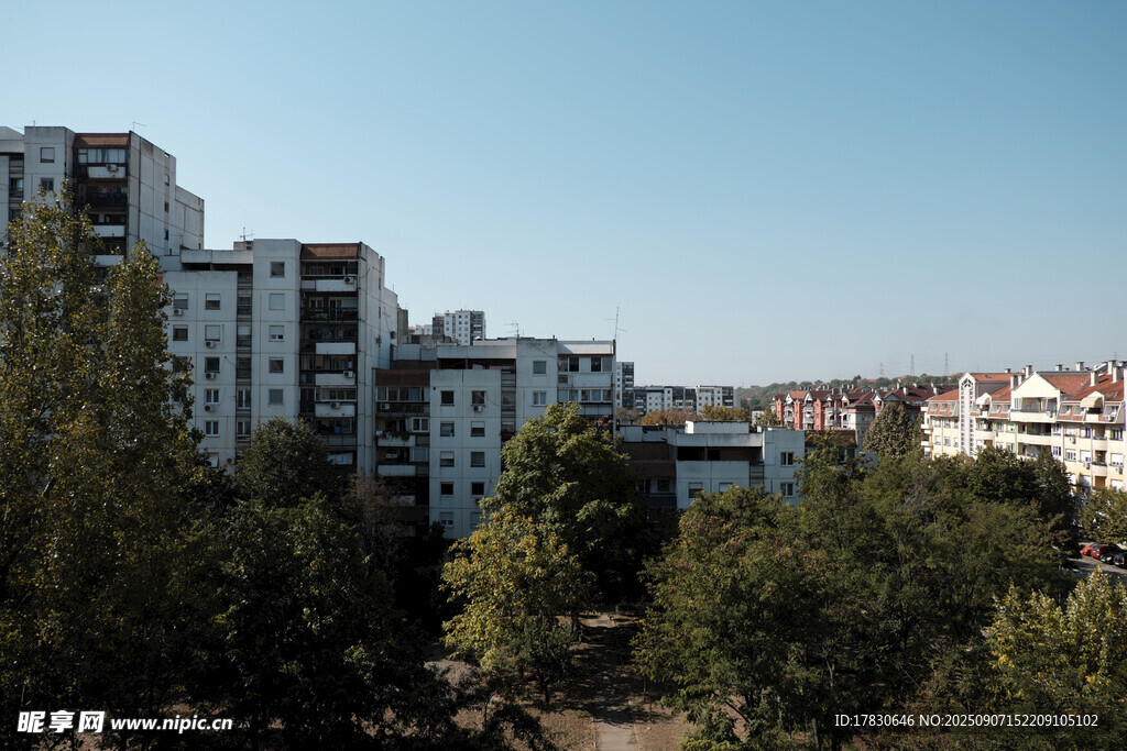 城市中林立的建筑与绿树