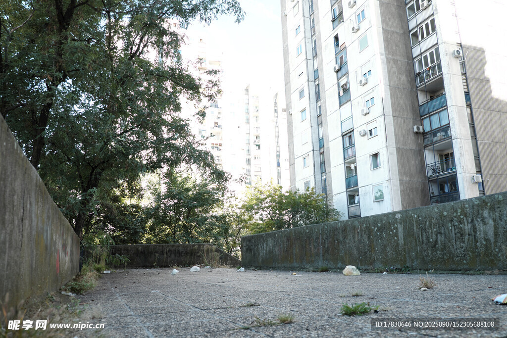 荒废空地旁的高楼与绿植