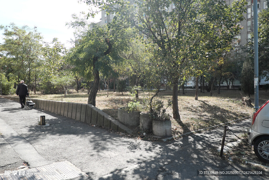 公园内的休闲场景