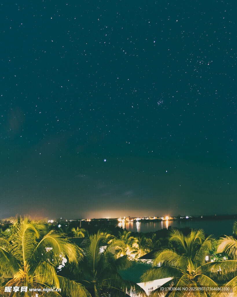 椰林夜景下的璀璨星空