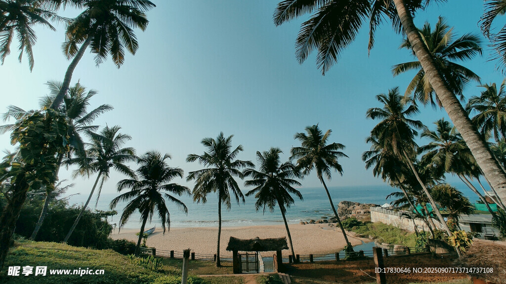 热带海滩椰林风光美景