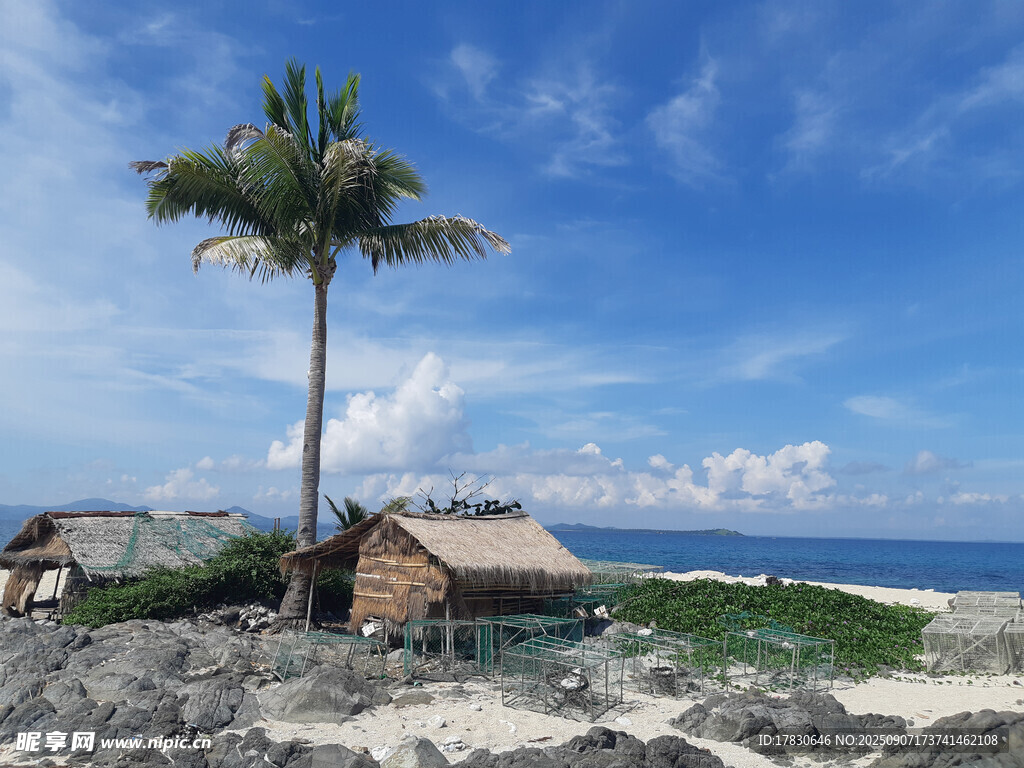 海边椰树旁的质朴小屋