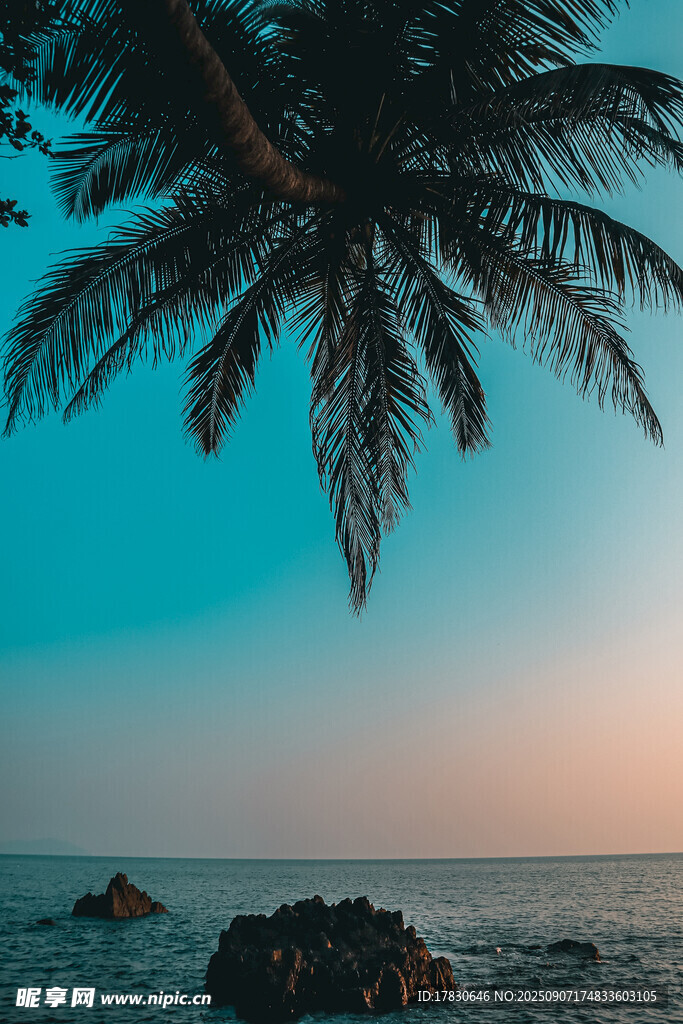 海边椰树与落日美景