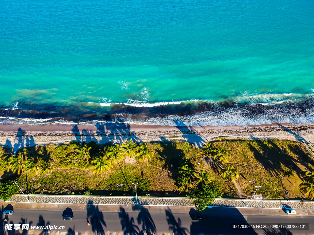 俯瞰海滨公路与葱郁植被