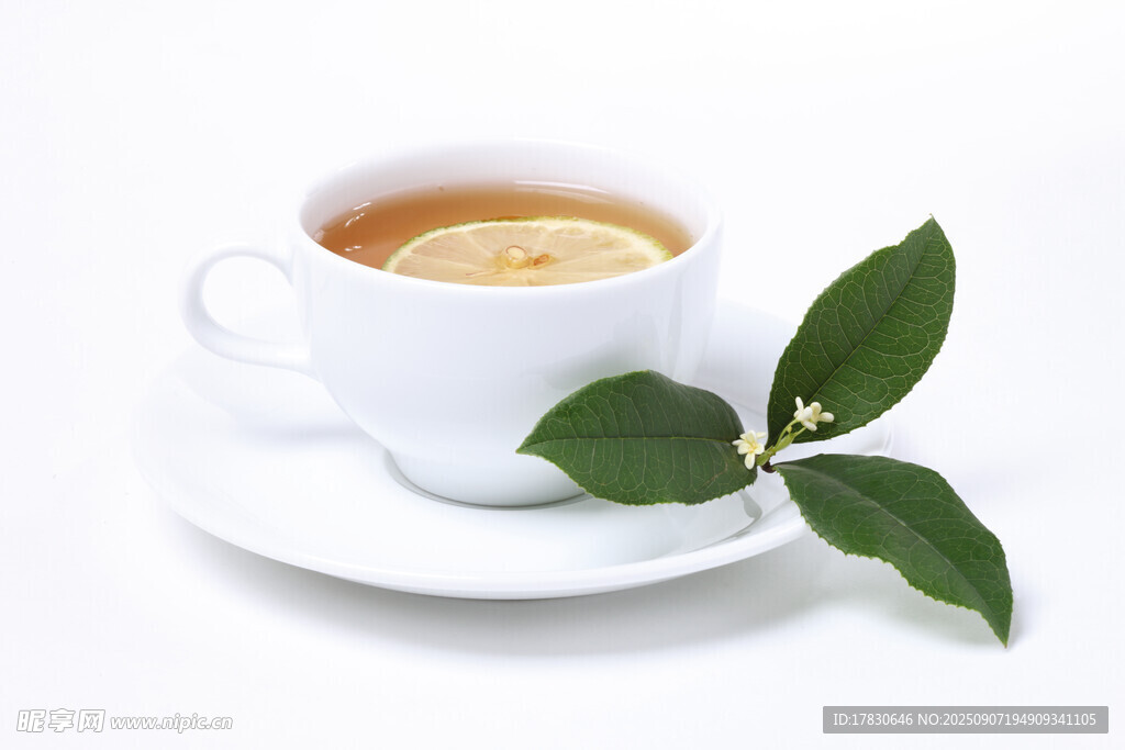 白色杯中的热茶与绿叶