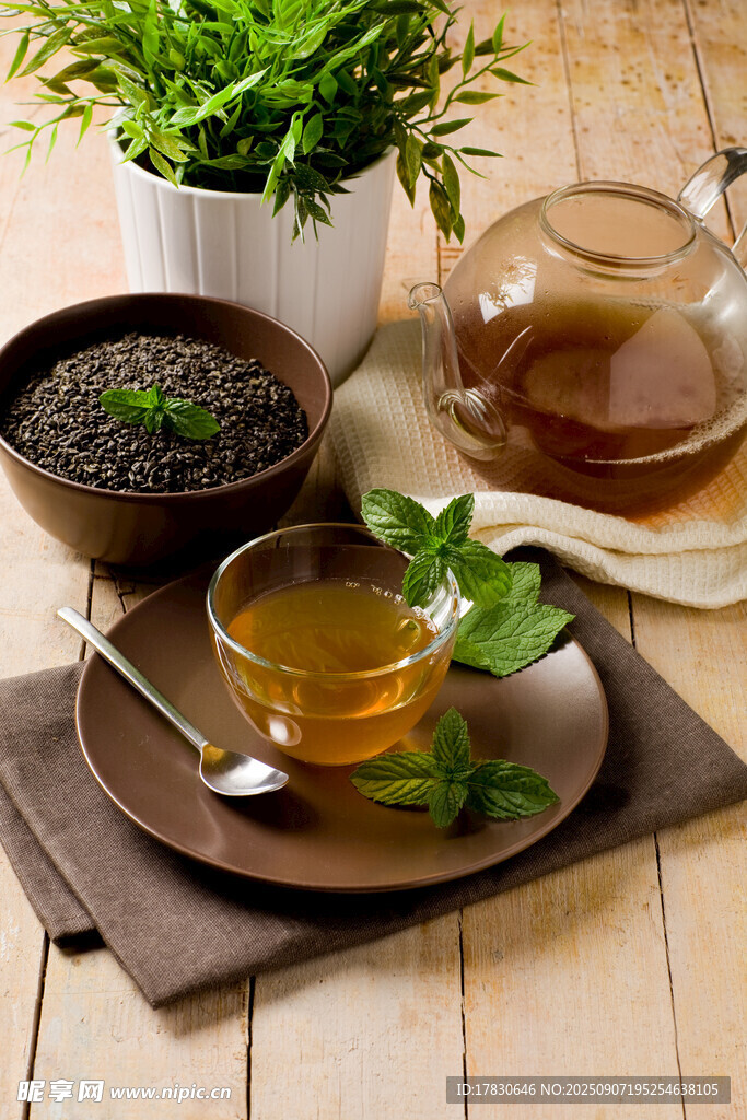 清新茶饮与绿植惬意组合