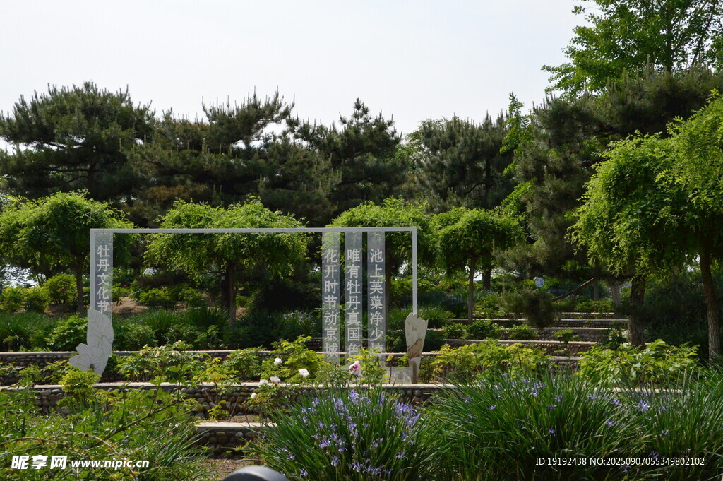 公园风景  