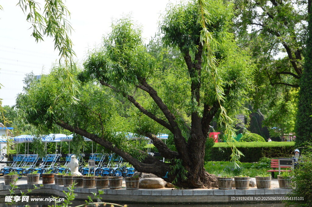 公园风景  