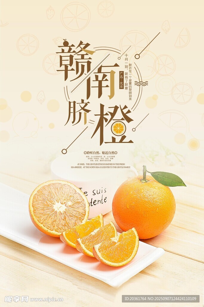 赣南脐橙海报