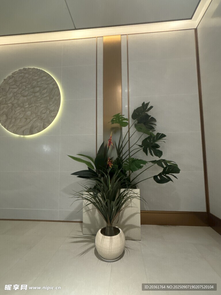 室内绿植装饰简约空间