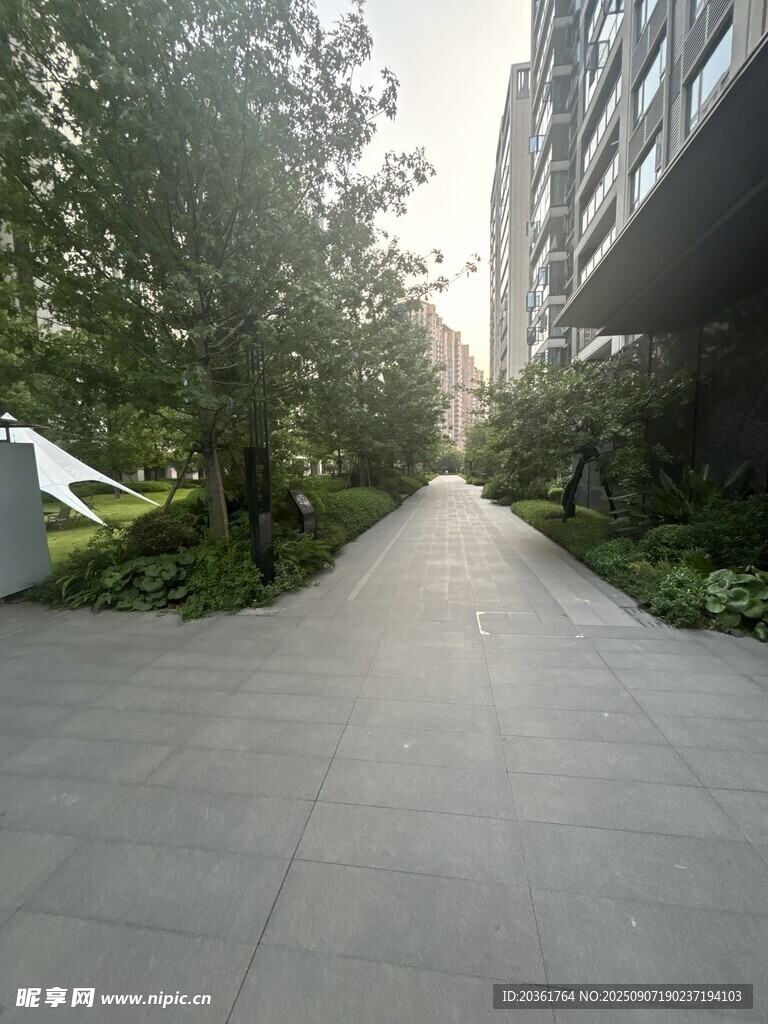城市中静谧的林荫小道