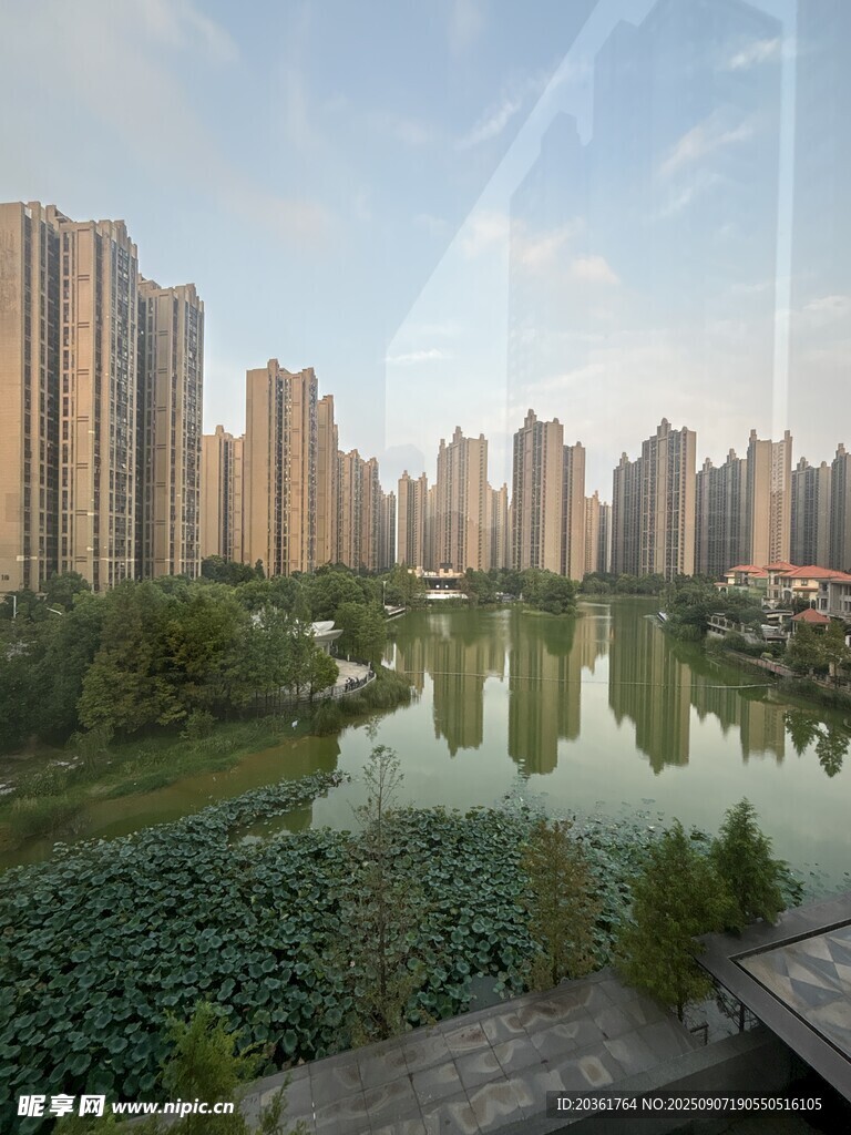 湖畔高楼林立的城市美景
