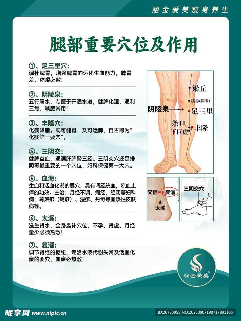 腿部重要穴位及其作用