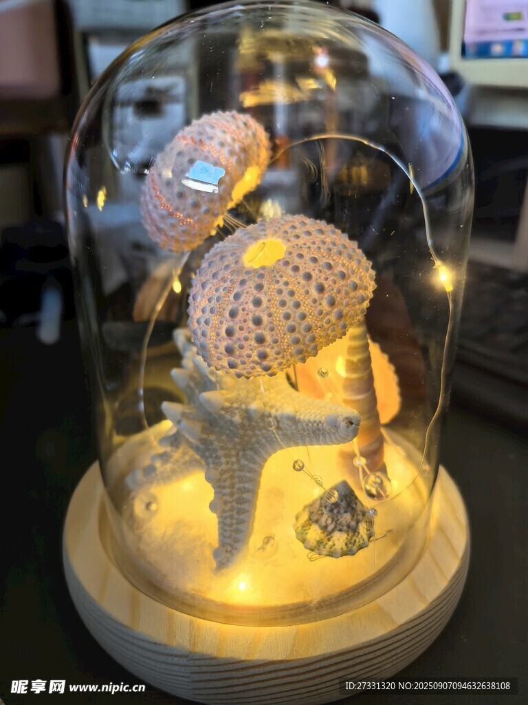 玻璃罩内梦幻蘑菇小夜灯