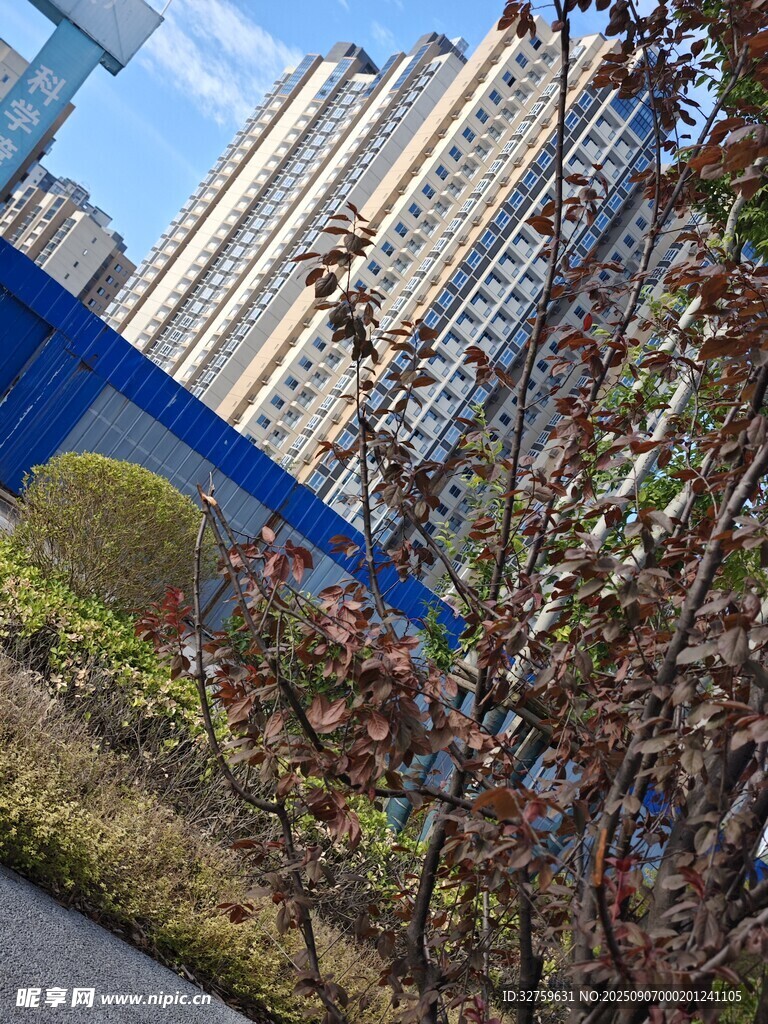 城市小区旁的绿植景观