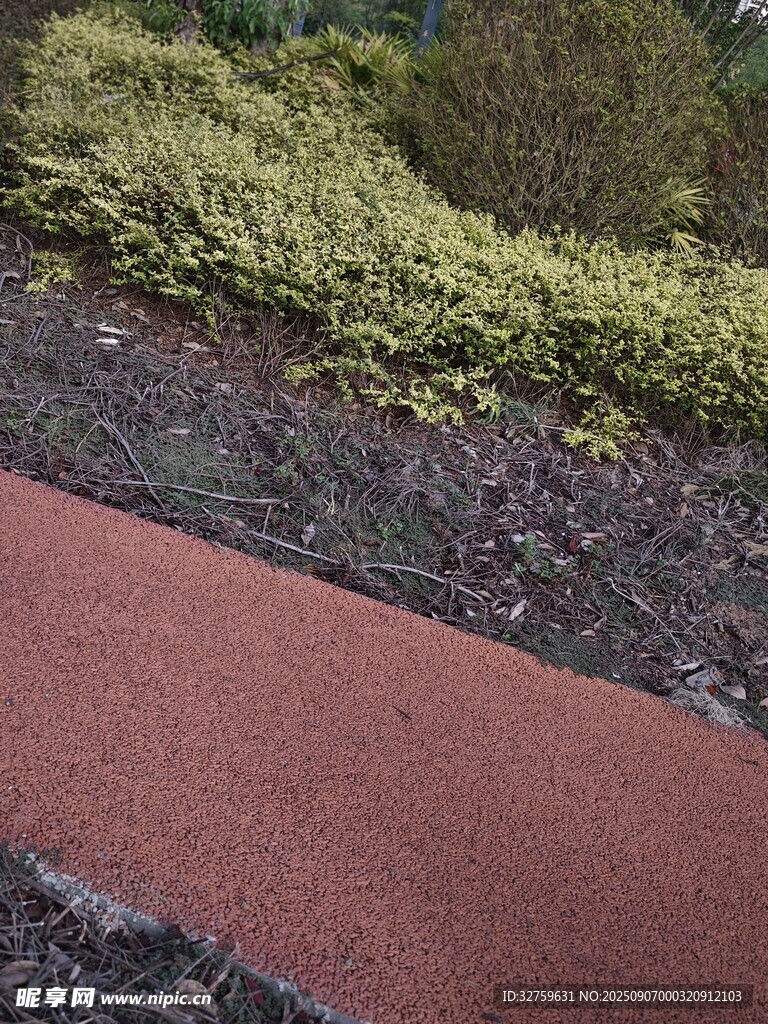 红色步道旁的葱郁绿植