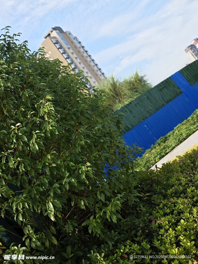 绿植旁的建筑景观