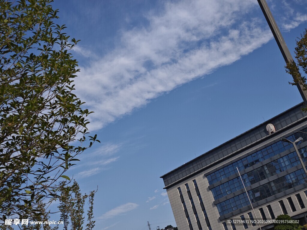 蓝天绿树旁的现代建筑