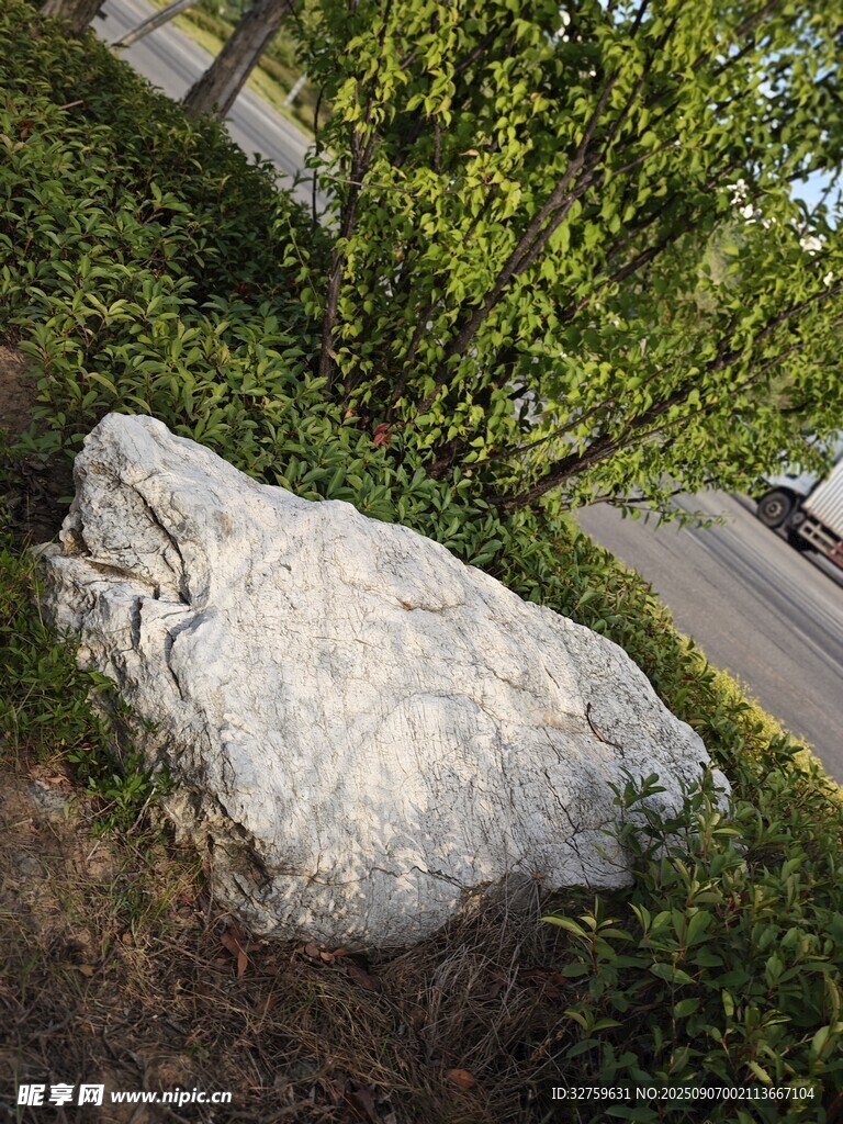 路边巨石与葱郁绿植
