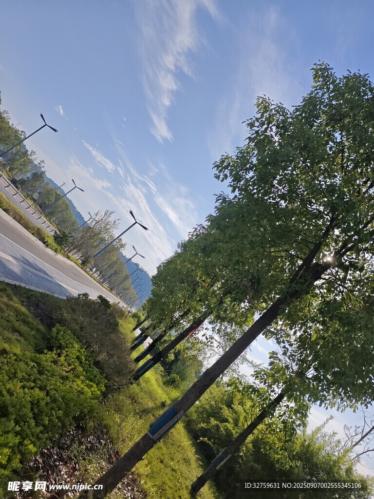 乡村路旁绿树蓝天美景